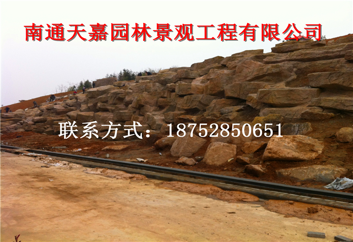 池州產(chǎn)業(yè)園塑石假山護(hù)坡工程現(xiàn)場(chǎng)